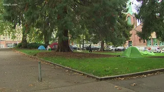 Neighbors say Seattle's Denny Park overrun by crime, drug use and want the city to step in