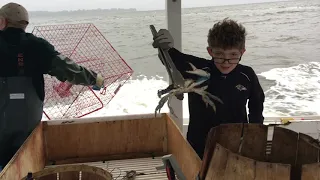 Commercial Crabbing on the Chesapeake Bay