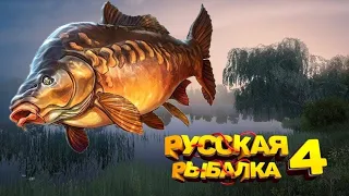 русская рыбалка 4    СТРИМ  ОБЩЕНИЕ  