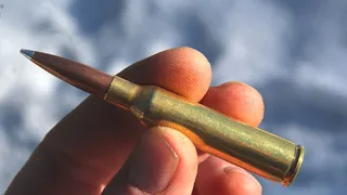 6.5X55mm Swede: The European Darling