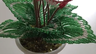 МК: ЦИКЛАМЕН | АЛьПИЙСКАЯ ФИАЛКА из БИСЕРА. Tutorial: Cyclamen out of beads. Часть 2/2