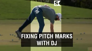How to fix pitch marks from 24x TOUR winner Dustin Johnson
