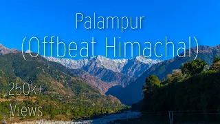 PALAMPUR │ PALAMPUR TOURIST PLACES │ HIMACHAL PRADESH │ APRIL 2024 │ PLACES TO VISIT IN PALAMPUR