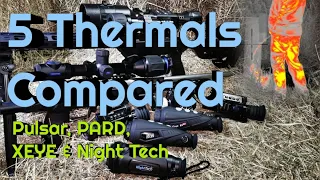 Thermal Comparison 2020 - Pulsar Thermion XQ50 PARD SA45 IRAY XEYE E3Max & Night Tech HD-25 & XD-35