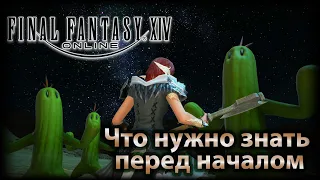 Как начать играть в FFXIV и стоит ли? Небольшой обзор Final Fantasy 14.