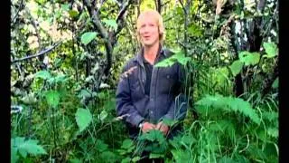 Grizzly man clip bear fight/confessional