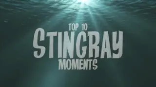 Our Top 10 Stingray Moments. Anything can happen in the next half hour!