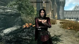 Secret Scene If Bring Serana to the Fort Dawnguard, BEFORE the Castle Volkihar