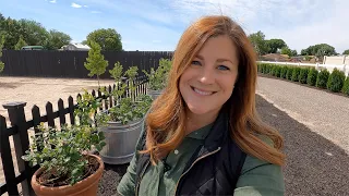 Growing Blueberries in Containers! 💙🤤 // Garden Answer