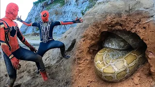 Spider-Man Saves A Young Man Attacked By A Giant Python