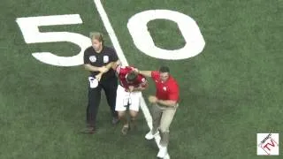 Anthony Schlegel Tackles Fan on Field