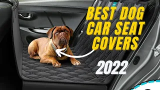 Top 4: Best Dog Car Seat Covers 2022 | Best Seat Covers For Pets