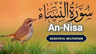 Surah Nisa | An Nisa | Surah An Nisa