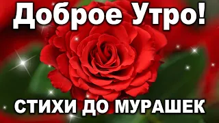 Доброе утро! САМЫЕ ТРОГАТЕЛЬНЫЕ СТИХИ! До слёз! с Добрым Утром!