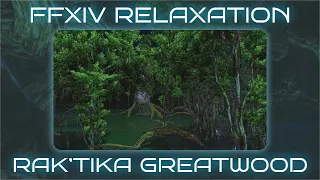 Final Fantasy XIV Relaxation: Rak'tika Greatwood (Arranged Ambient Cover) Study/Work/Sleep Music