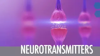 Neurotransmitter part 2