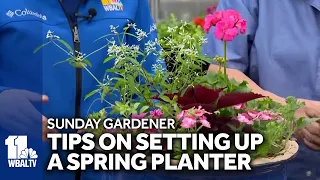 Sunday Gardener: Helpful tips for using planters in your garden