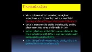 Podcast 3 - HSV and VZV (DNA Viruses)
