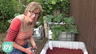 How to make an easy self-watering wicking bed from an IBC.