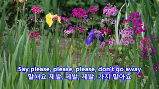 Faith - George Michael: with Lyrics(영어가사/한글번역)|| Hantaek Botanical Garden (한택식물원) 2017년 5월 20일