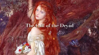 A Dryad lures you into the forest| Fantasy & Nature Ambience