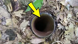 Tourists lowered a camera into a strange pipe in a deep forest, the discovery is terrifying!