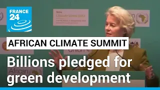 African climate summit: Hundreds of millions pledged for carbon credits • FRANCE 24 English
