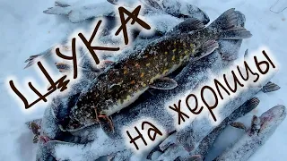 ЩУКА И ОКУНЬ на лесных карьерах, удачная рыбалка на Щуку PIKE AND PERCH in forest quarries, successf