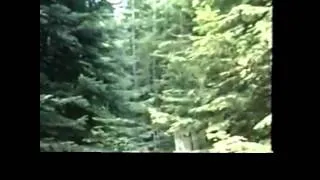 Paul Freeman Bigfoot video audio clue