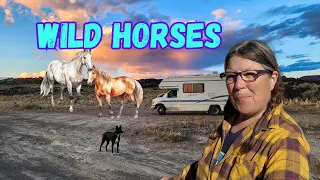 More RV Repairs, Wild Horses and Visiting a Renaissance Village in Ely, NV