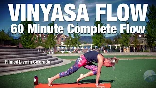 60 Minute Well Rounded Vinyasa Flow Yoga Class - Five Parks Yoga