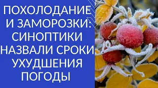 ПОХОЛОДАНИЕ И ЗАМОРОЗКИ: СИНОПТИКИ НАЗВАЛИ СРОКИ УХУДШЕНИЯ ПОГОДЫ