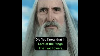 Did you know that in Lord of the Rings: The Two Towers...