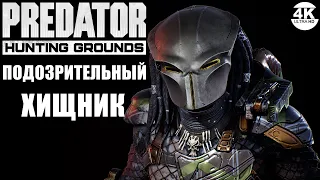 Predator Hunting Grounds🔺ПОДОЗРИТЕЛЬНЫЙ ХИЩНИК! ОХОТНИК - ПРИЗРАК! PREDATOR - GHOST! Патч 2.39🔺4K