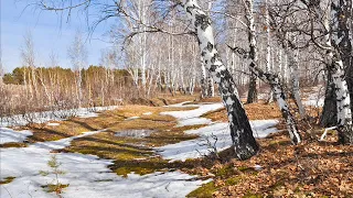 Весна, весна, как воздух чист, Баратынский Евгений