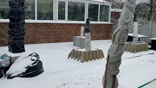 Як взимку опалюється зимовий садок.Екзоти у відкритому грунті зимою.