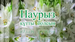 Футаж Наурыз құтты болсын