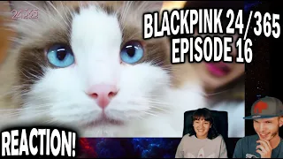 BLACKPINK 24/365 EPISODE 16 (COUPLE REACTION!)