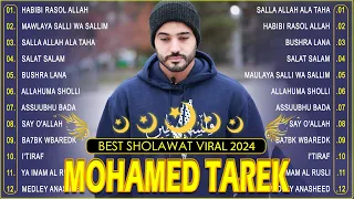 Mohamed Tarek Beautiful Nasheeds 2024 Vol 2 #naat  محمد طارق - أجمل أناشيد قد تسمعها في حياتك