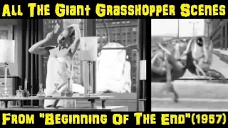 All The Giant Grasshopper Scenes From "Beginning Of The End" (1957)