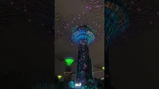 Gardens by the bay light show  #singapore #gardensbythebay #lightshow #singapore4k