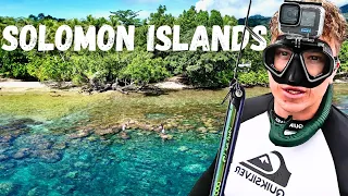 Spearfishing Paradise? (Remote Island Lagoon)