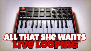 Ace Of Base - All That She Wants (Live Looping)