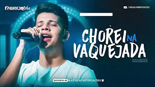 Chorei na Vaquejada - Karaokê/ Nadson o Ferinha