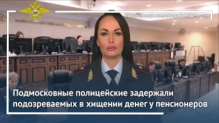 Ирина Волк: Подмосковные полицейские задержали подозреваемых в хищении денег у пенсионеров