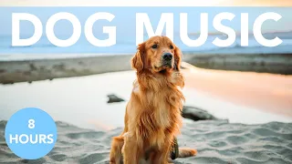 8 HOURS of Relaxing Music for Dogs! Music for Dogs to Sleep! Helped 12 Million Dogs!