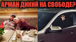 Дикий Арман написал секретный письмо Маме!