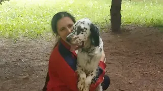 Darcy the English Setter (from birth to 1 year)