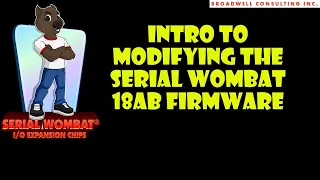 Intro to Modifying the Serial Wombat 18AB Firmware