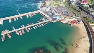 Cape Peninsula